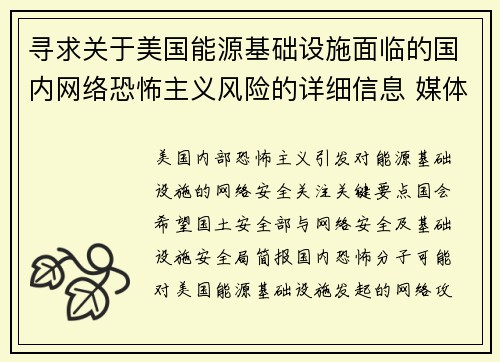 寻求关于美国能源基础设施面临的国内网络恐怖主义风险的详细信息 媒体 寻求关于美国能源基础设施面临的国内网络恐怖主义风险的详细信息 媒体